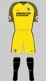 brighton & Hove albion 2018-19 third kit