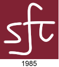 stenhousemuir fc crest 1985